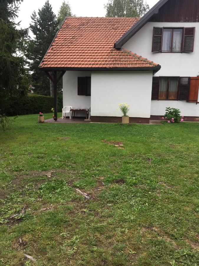 Vila Borovic Zlatibor Dış mekan fotoğraf
