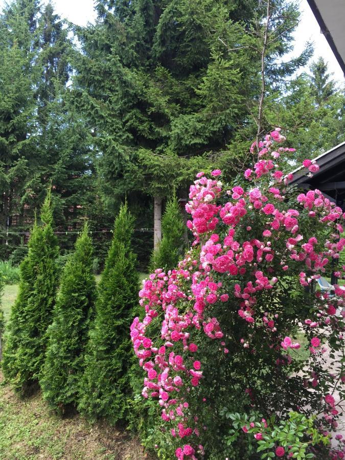 Vila Borovic Zlatibor Dış mekan fotoğraf