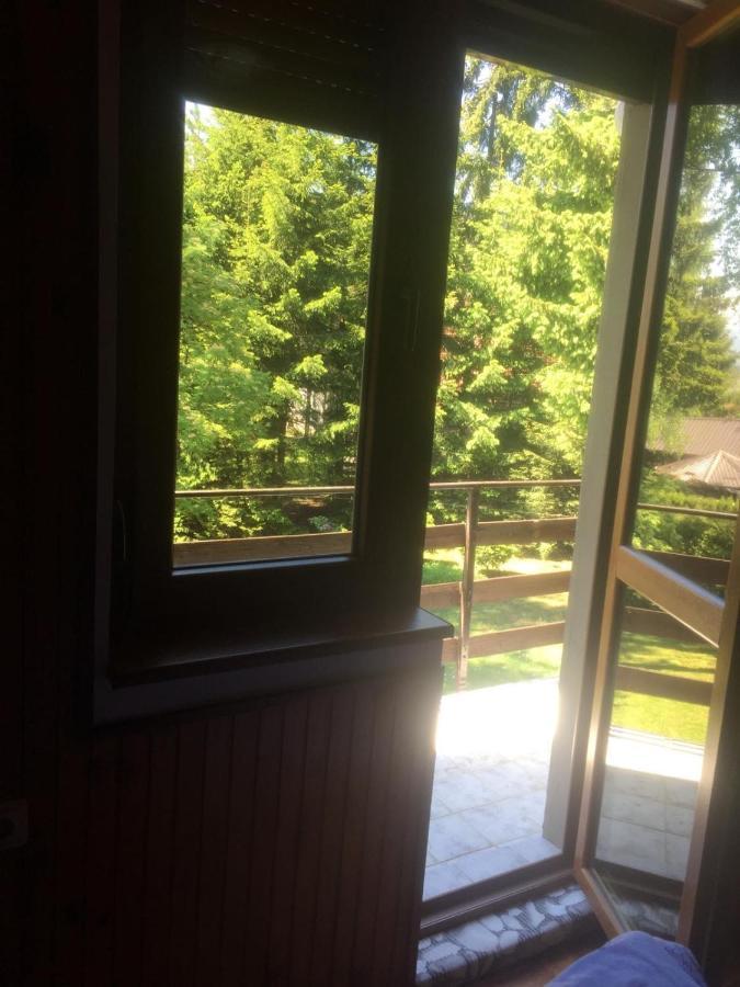 Vila Borovic Zlatibor Dış mekan fotoğraf