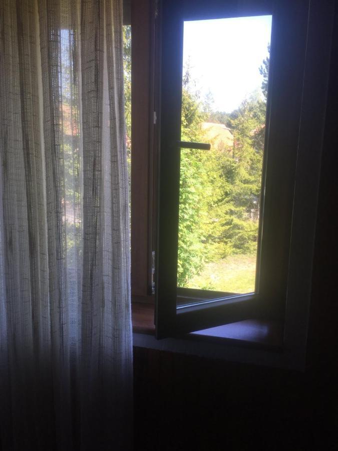 Vila Borovic Zlatibor Dış mekan fotoğraf