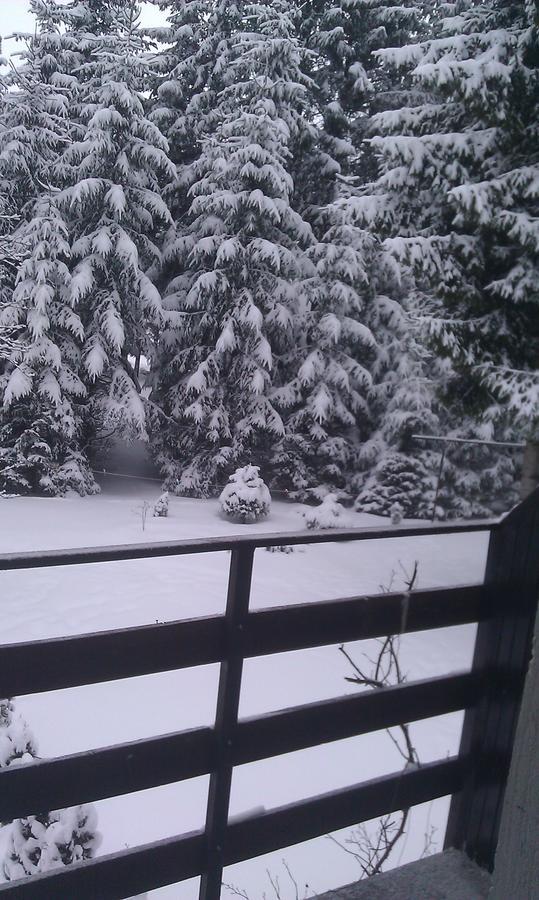 Vila Borovic Zlatibor Dış mekan fotoğraf