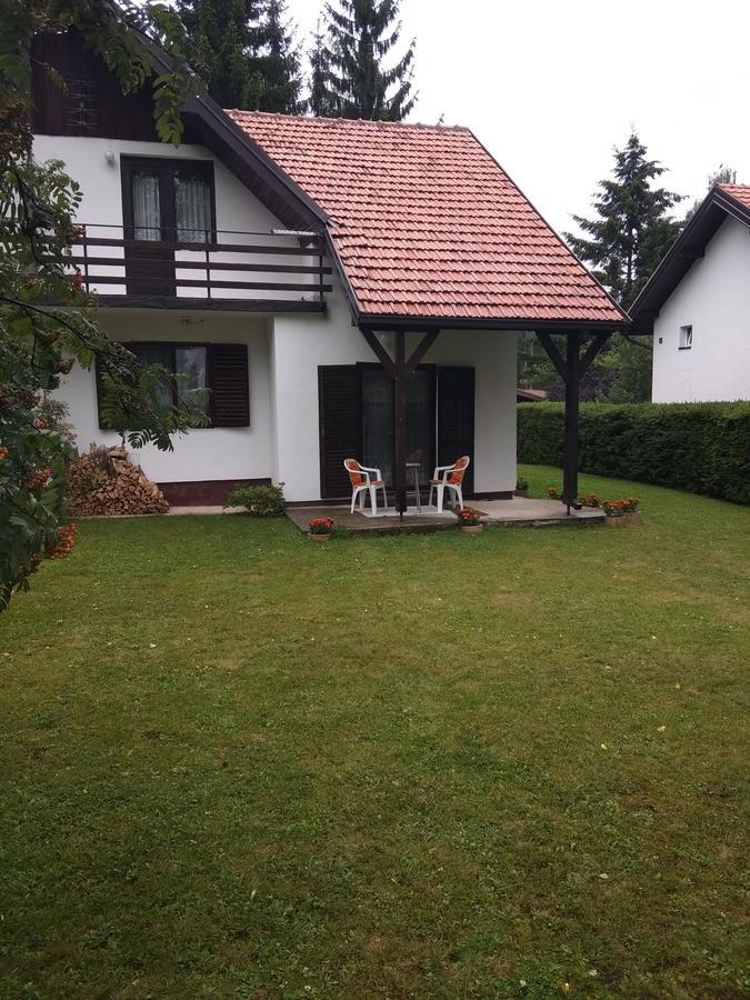 Vila Borovic Zlatibor Dış mekan fotoğraf