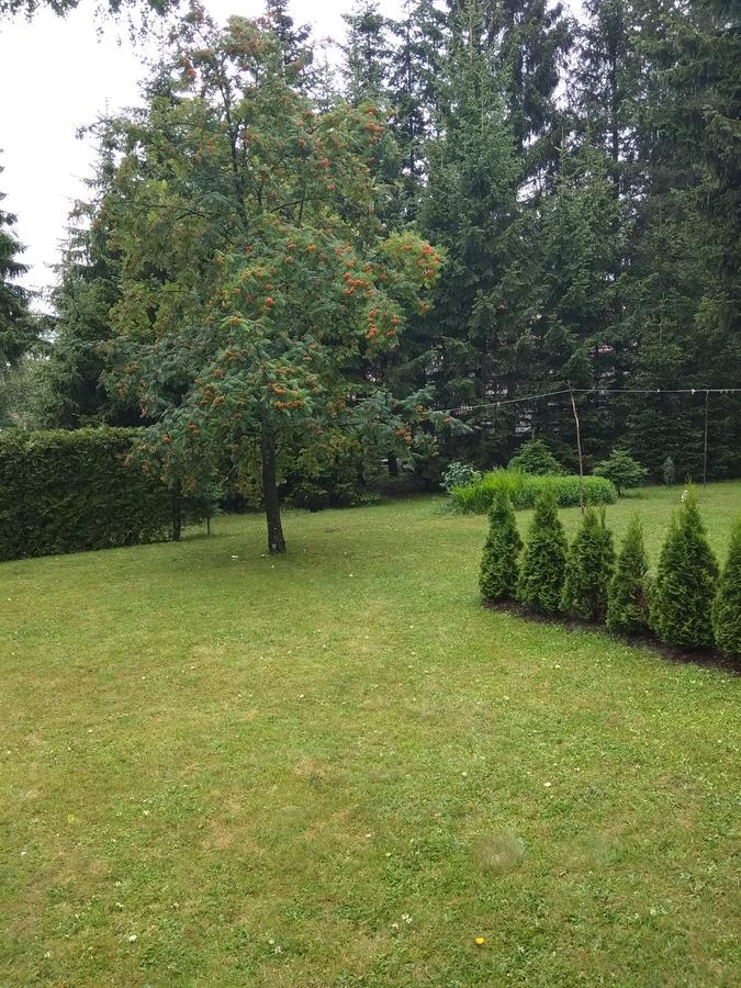 Vila Borovic Zlatibor Dış mekan fotoğraf
