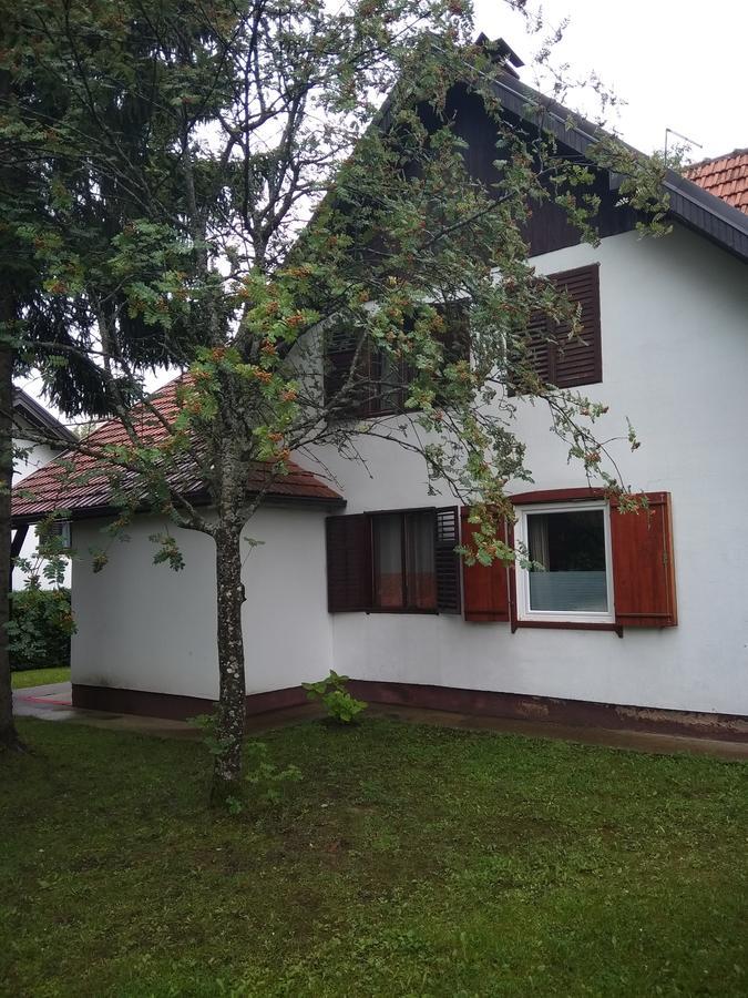 Vila Borovic Zlatibor Dış mekan fotoğraf